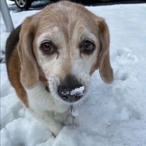 Meet your Posher, Emily